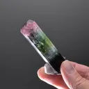 Elbaite with Fluorapatite - image 2