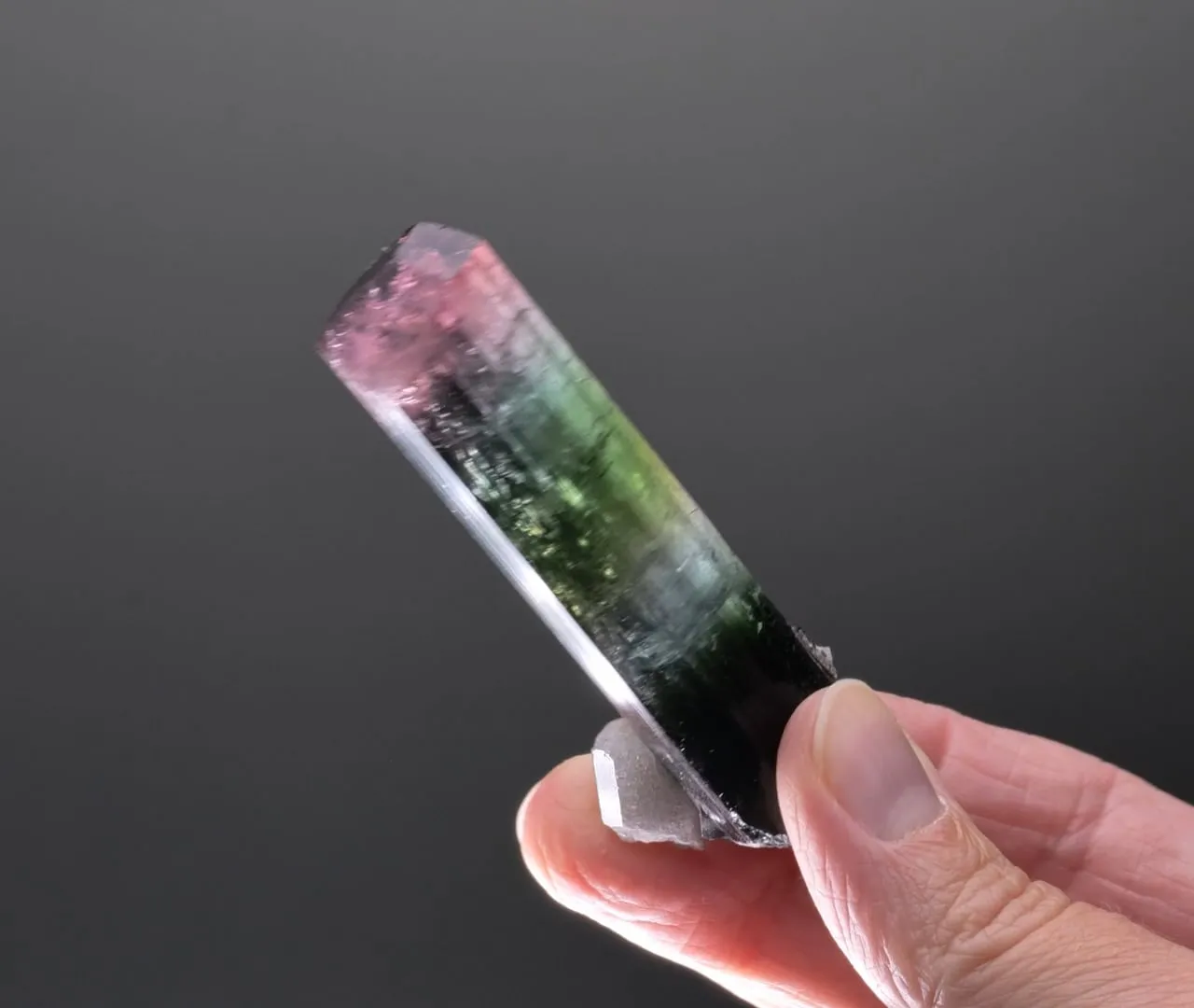 Elbaite with Fluorapatite - image 2