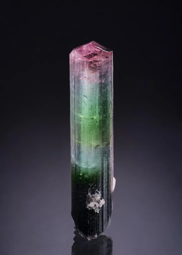 Elbaite with Fluorapatite image
