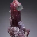 Elbaite with Lepidolite - image 1
