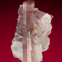 Elbaite with Lepidolite - image 2