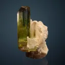 Elbaite with Lepidolite - image 4