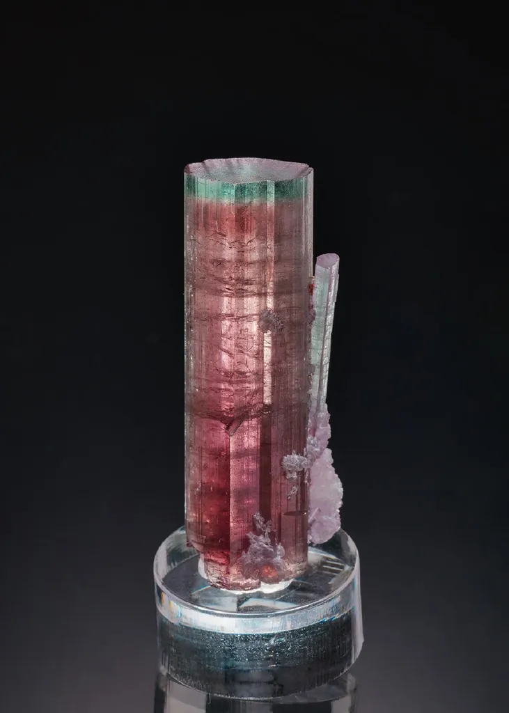 Elbaite with Lepidolite image