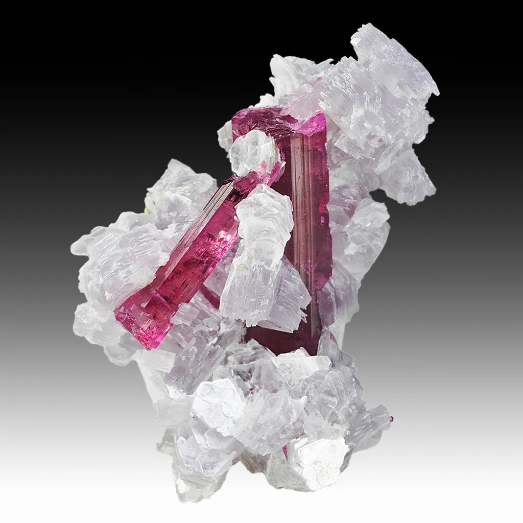 Elbaite with Lepidolite image