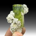 Elbaite with Lepidolite - image 1
