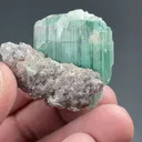 Elbaite with Lepidolite - image 2