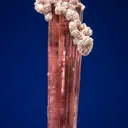 Elbaite with Lepidolite - image 1
