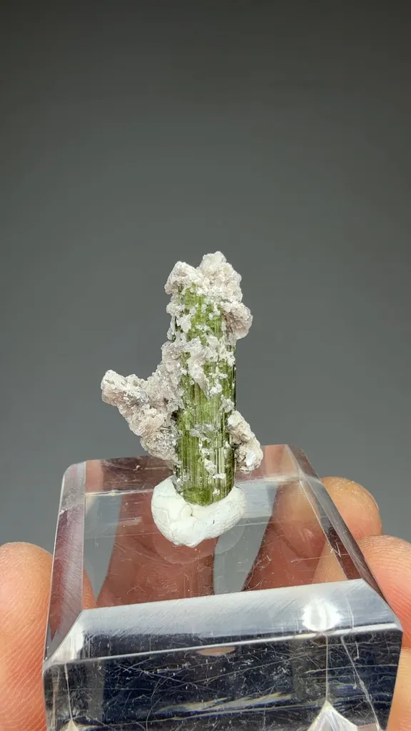 Elbaite with Lepidolite - image 2