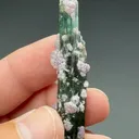 Elbaite with Lepidolite - image 2