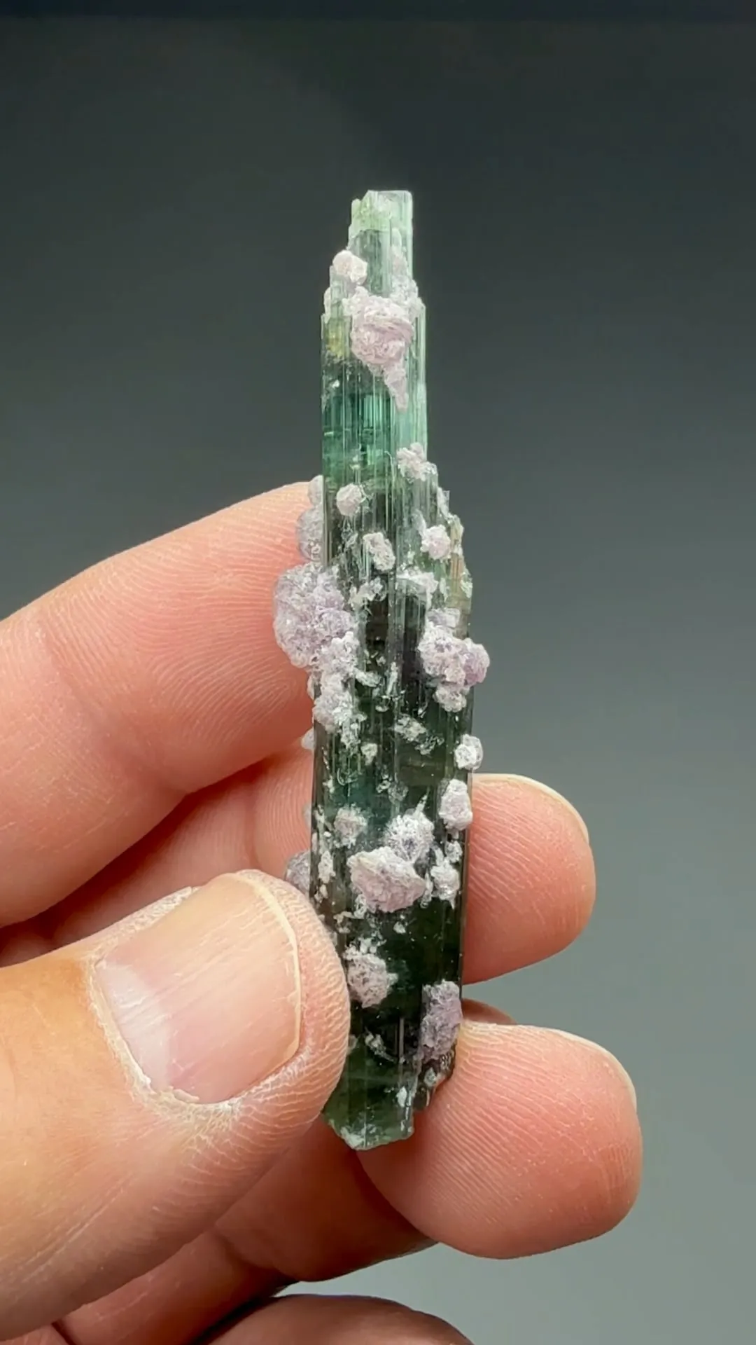 Elbaite with Lepidolite - image 2