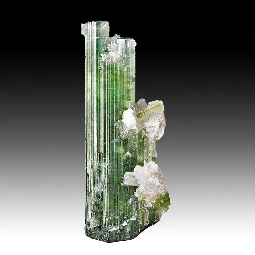 Elbaite with Lepidolite image