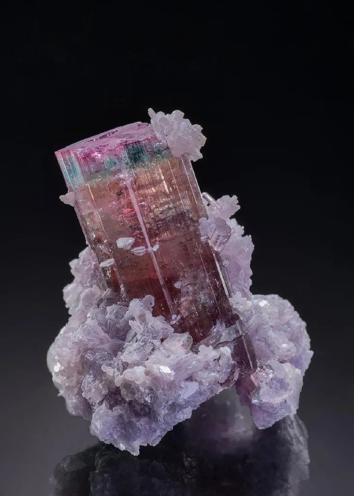 Elbaite with Lepidolite image