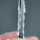 Elbaite with Lepidolite - image 2