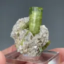 Elbaite with Lepidolite - image 2