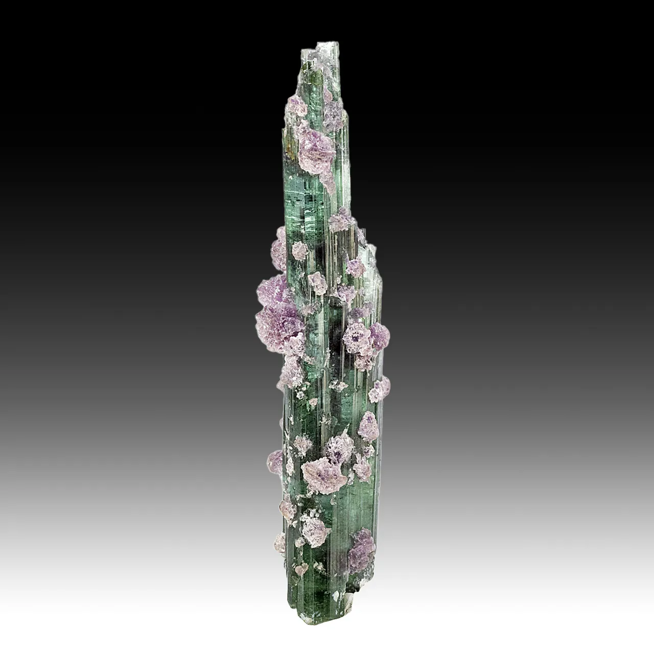 Elbaite with Lepidolite - image 1
