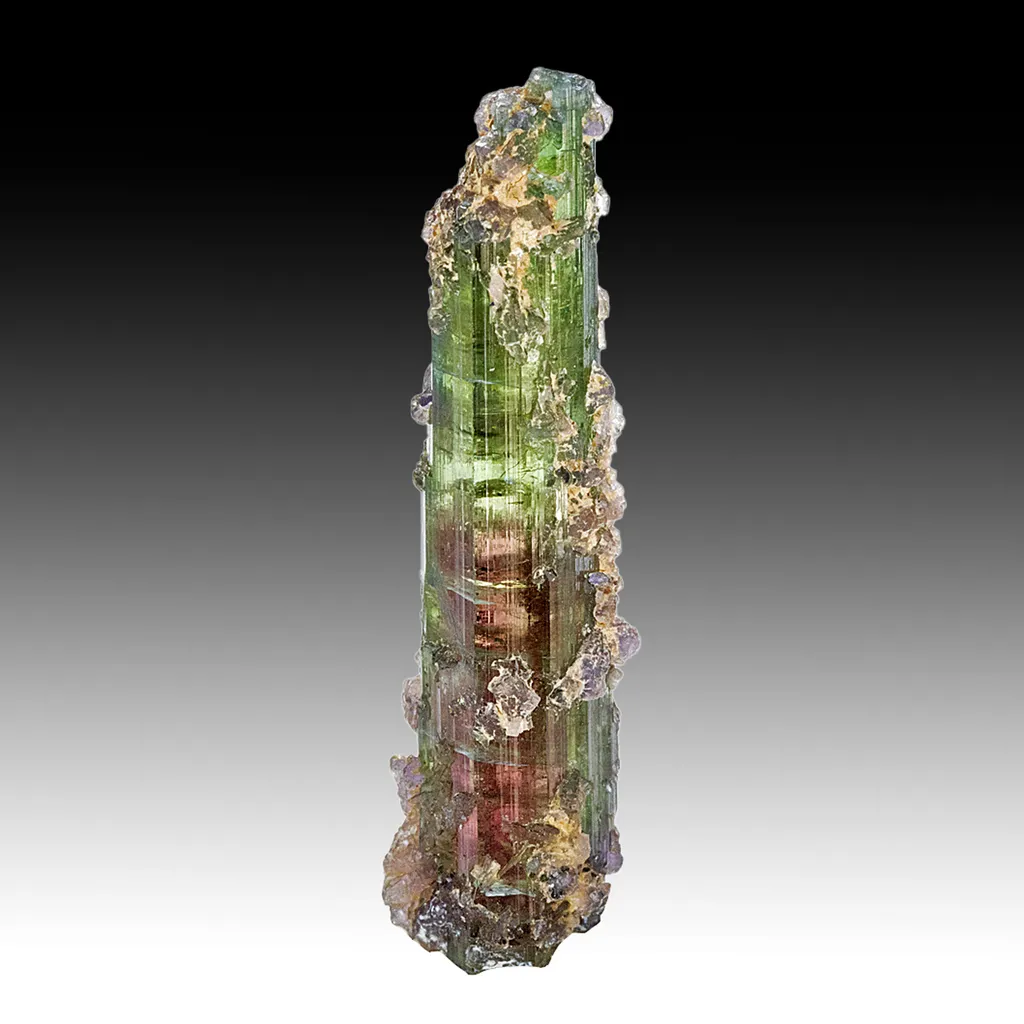Elbaite with Lepidolite image