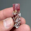 Elbaite with Lepidolite - image 2