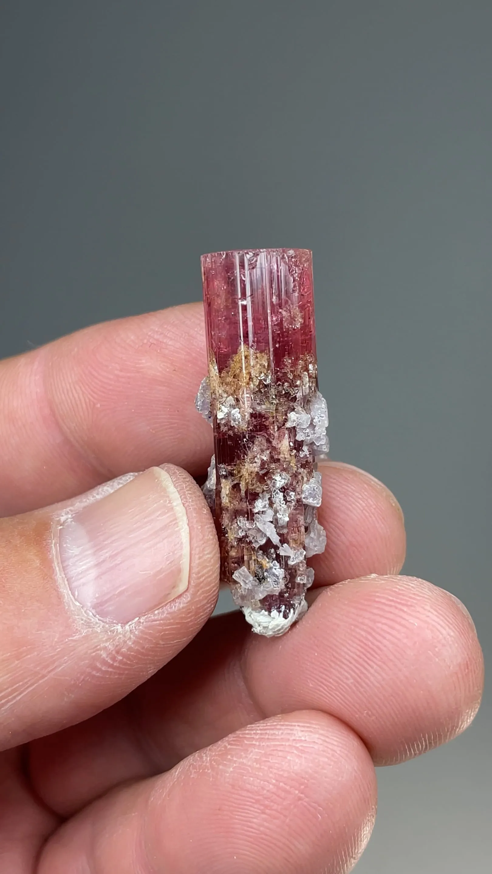 Elbaite with Lepidolite - image 2