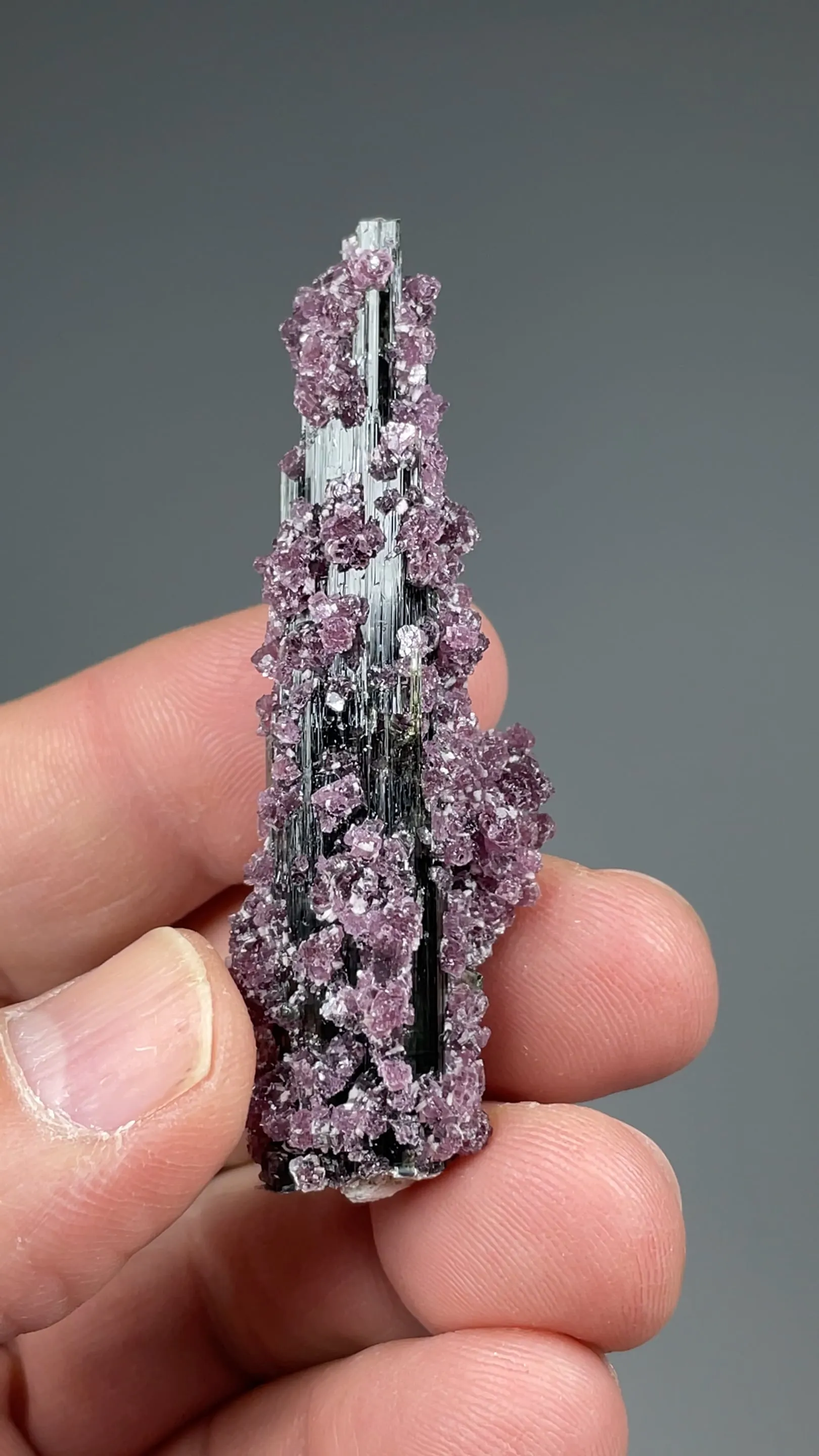 Elbaite with Lepidolite - image 2