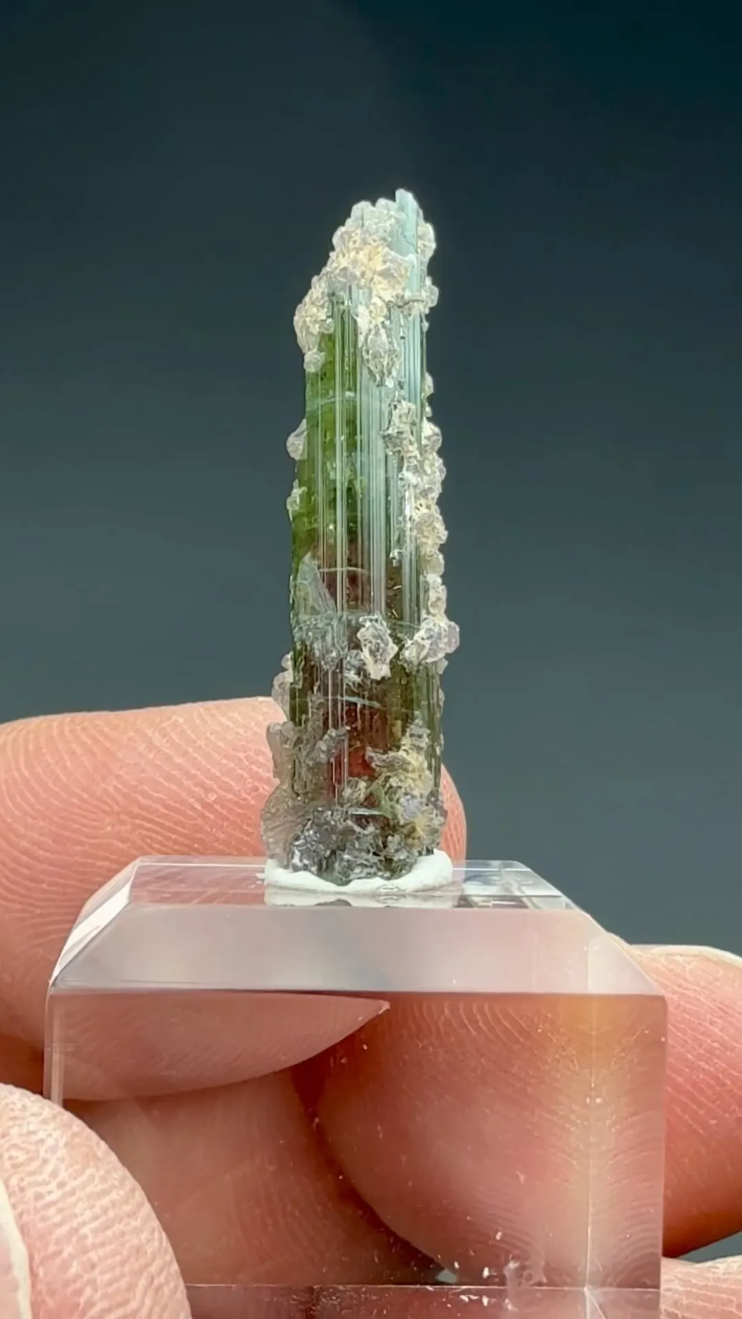 Elbaite with Lepidolite - image 2