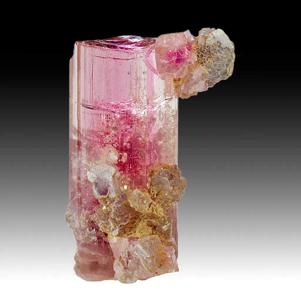 Elbaite with Lepidolite image