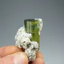 Elbaite with Lepidolite - image 2