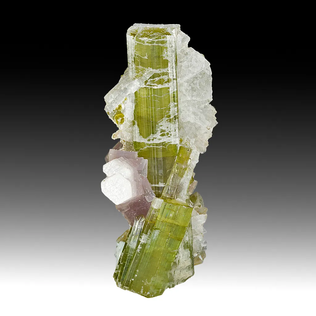Elbaite with Lepidolite, Albite image