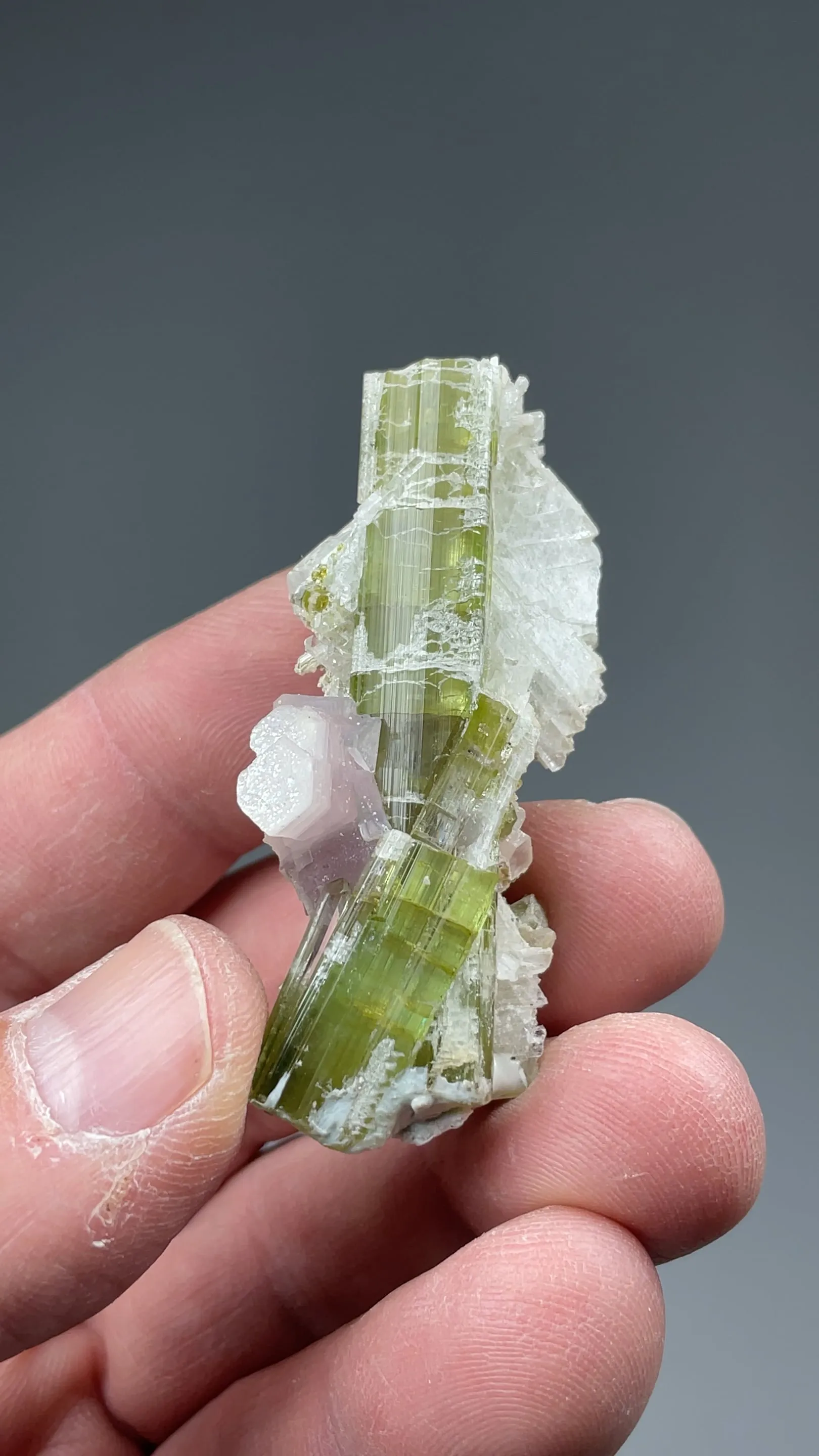 Elbaite with Lepidolite, Albite - image 2