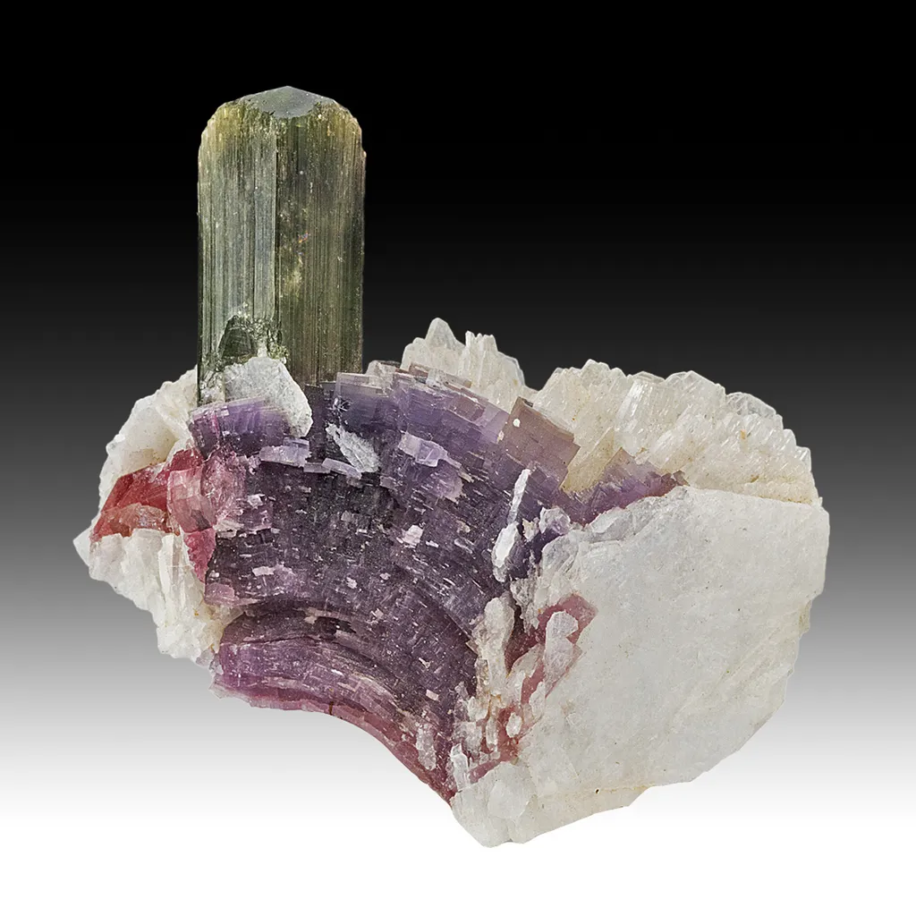 Elbaite with Lepidolite, Albite image