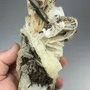 Elbaite with Lepidolite, Albite - image 2