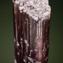 Elbaite with Lepidolite & Albite var. Cleavelandite - image 1