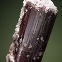 Elbaite with Lepidolite & Albite var. Cleavelandite - image 2