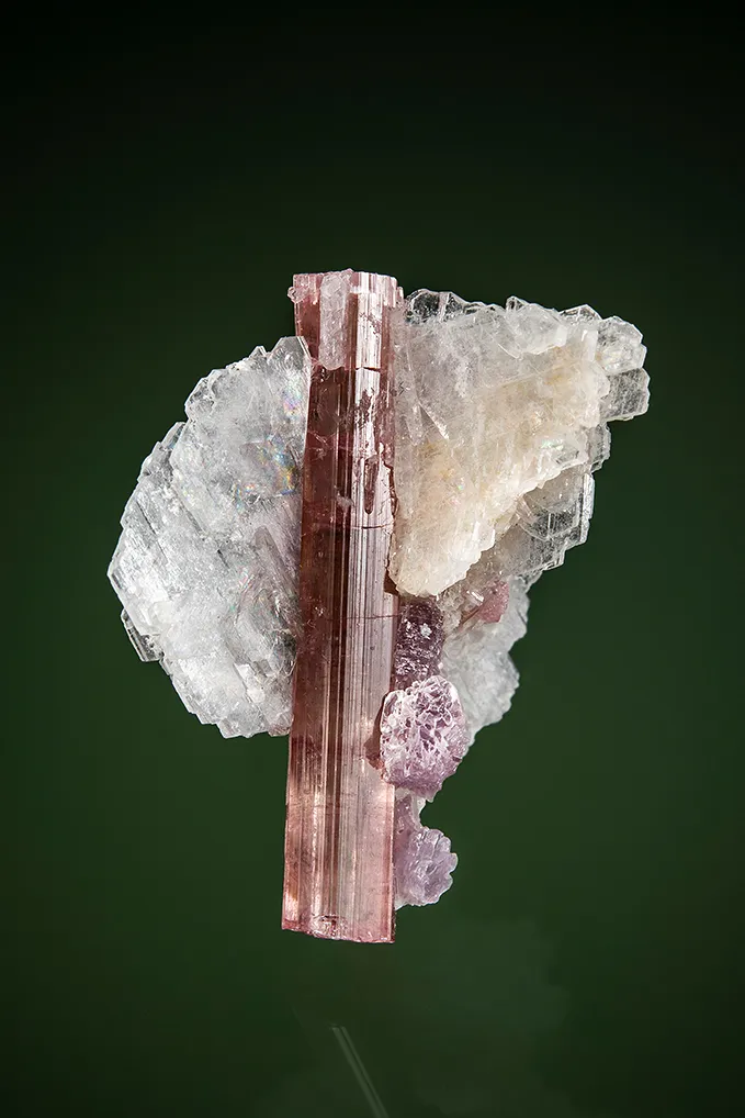 Elbaite with Lepidolite and Albite image