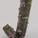 Elbaite with Lepidolite and Albite - image 2