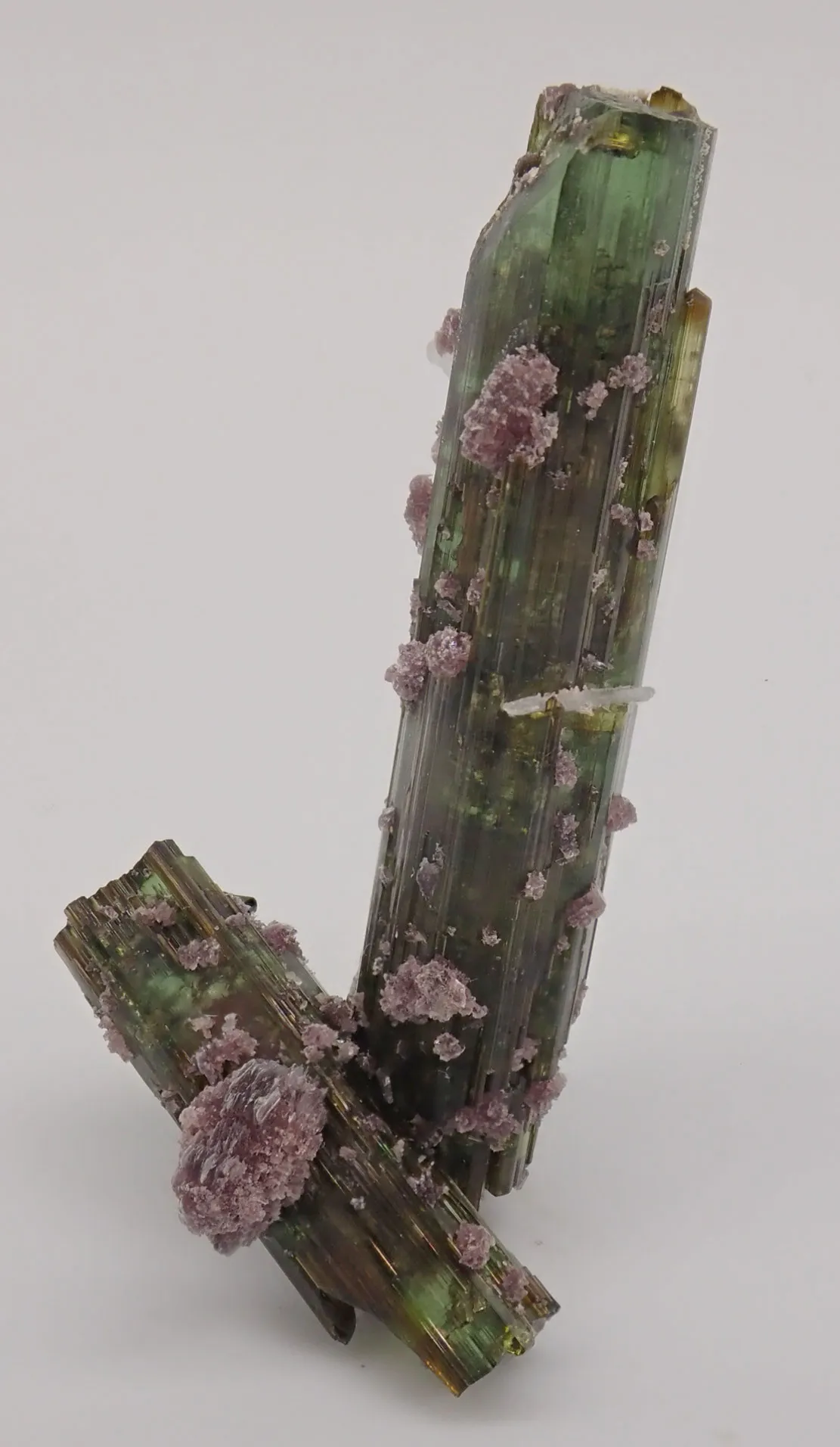 Elbaite with Lepidolite and Albite - image 2