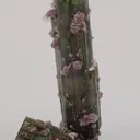 Elbaite with Lepidolite and Albite - image 3