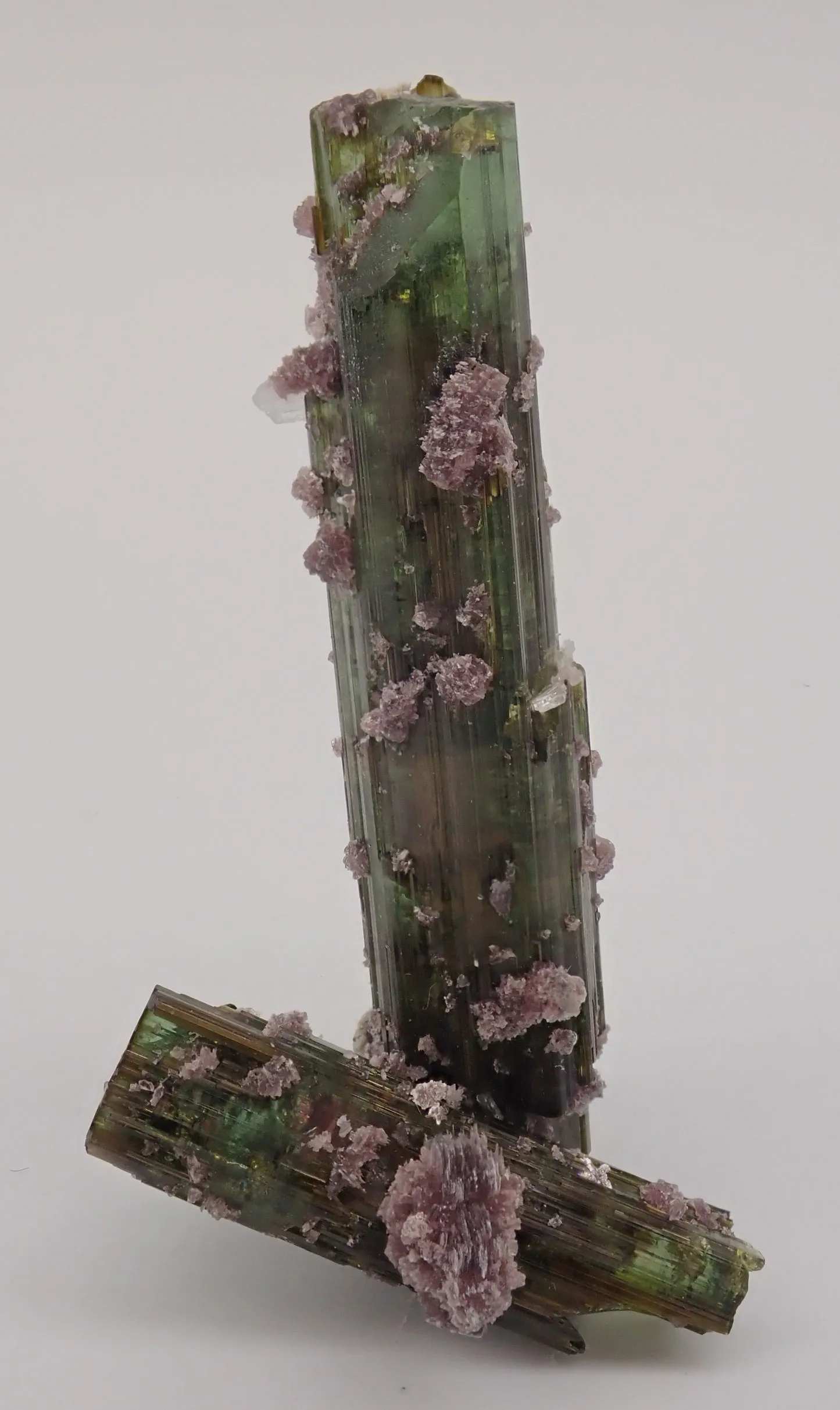 Elbaite with Lepidolite and Albite - image 3