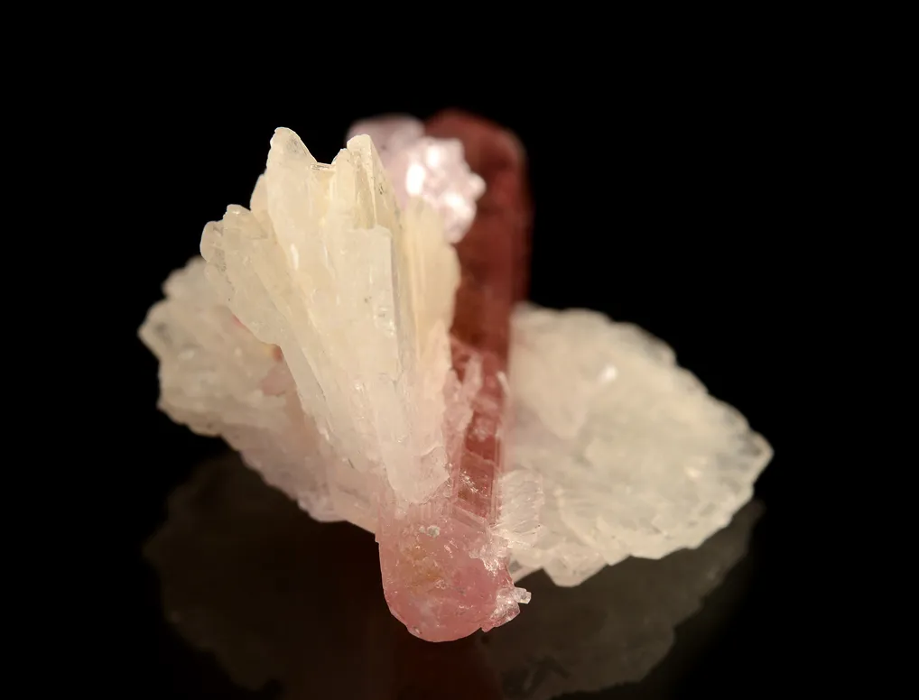 Elbaite with Lepidolite and Albite - image 8