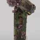 Elbaite with Lepidolite and Albite - image 4