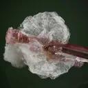 Elbaite with Lepidolite and Albite - image 2