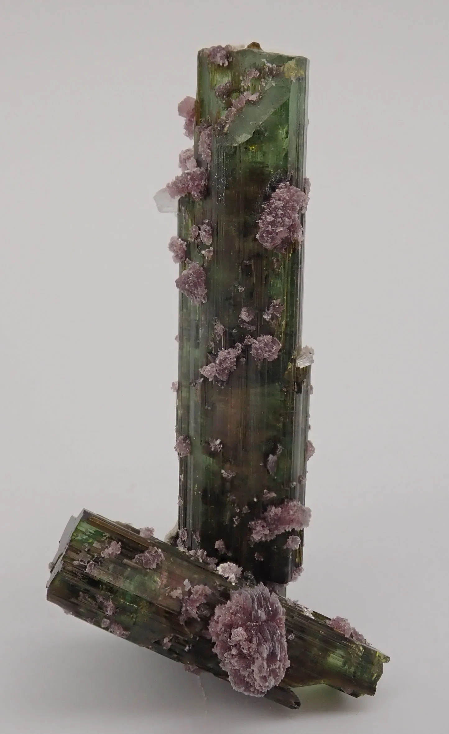 Elbaite with Lepidolite and Albite - image 5