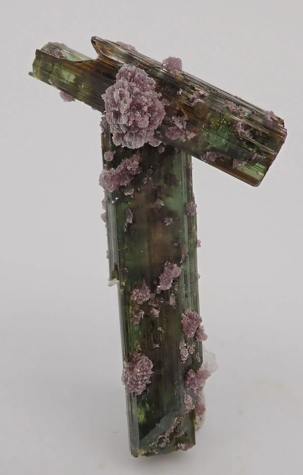 Elbaite with Lepidolite and Albite - image 6