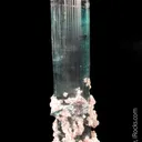 Elbaite with Lepidolite and Albite - image 4