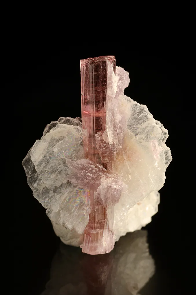 Elbaite with Lepidolite and Albite - image 5