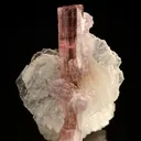 Elbaite with Lepidolite and Albite - image 5