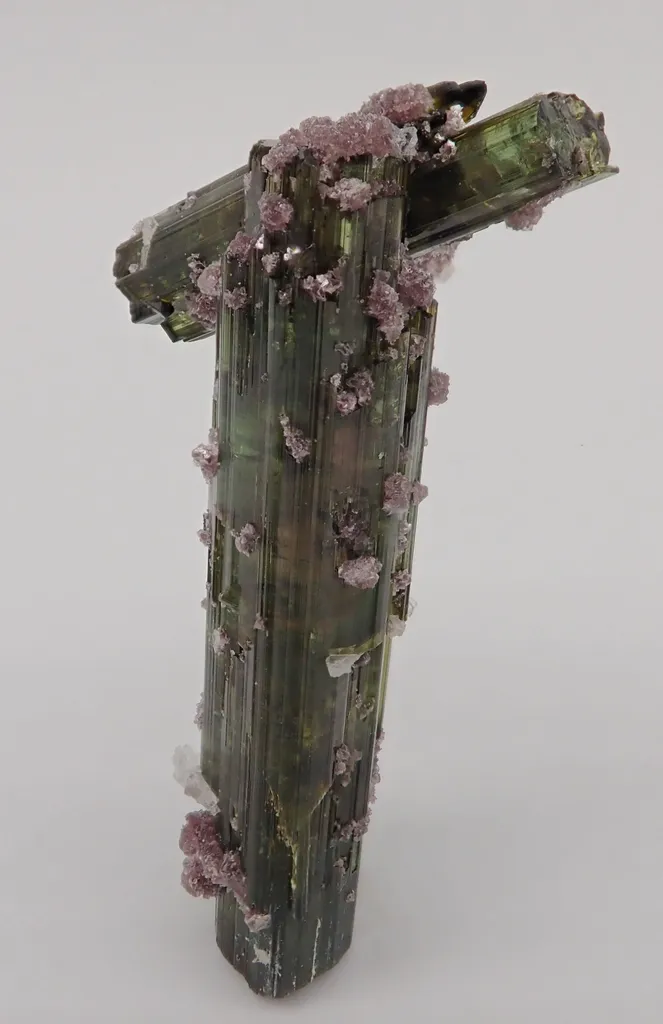 Elbaite with Lepidolite and Albite image