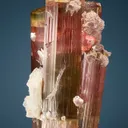 Elbaite with Lepidolite and Albite var. Cleavelandite - image 3