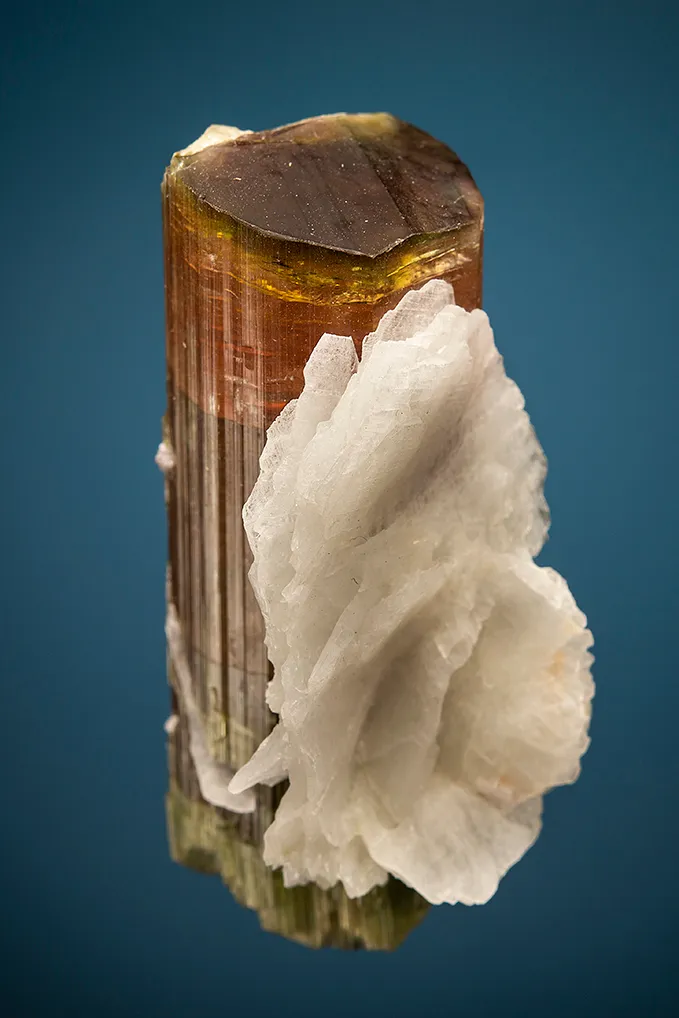 Elbaite with Lepidolite and Albite var. Cleavelandite image