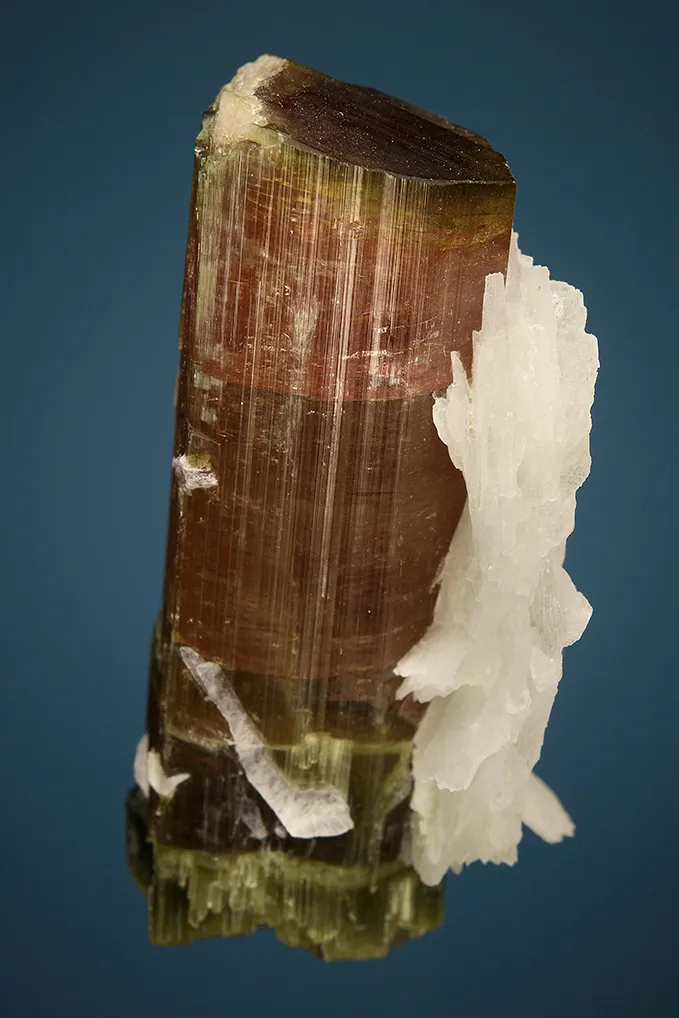 Elbaite with Lepidolite and Albite var. Cleavelandite - image 4