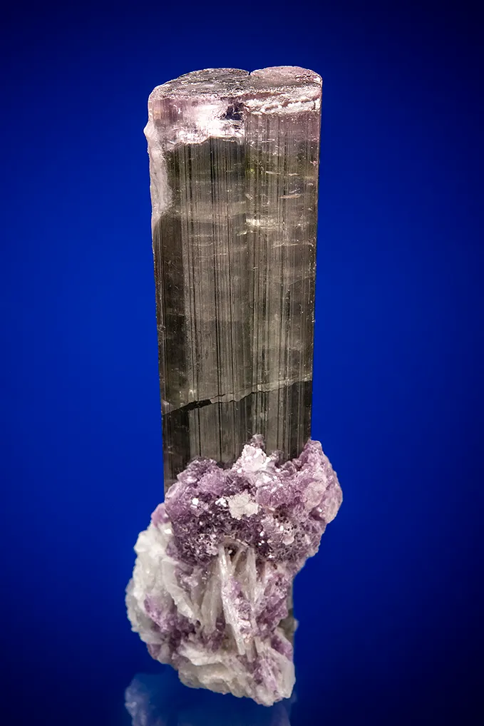 Elbaite with Lepidolite and Albite var. Cleavelandite image